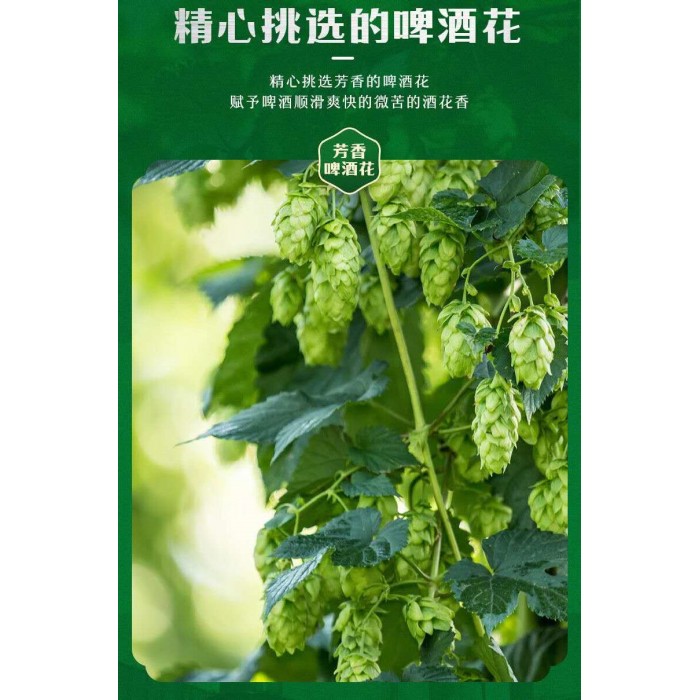 青岛超爽啤酒330ml