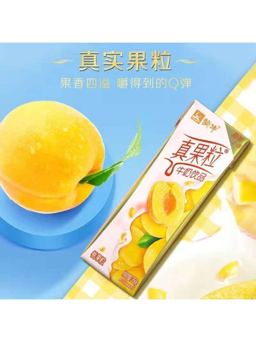 蒙牛真果粒黄桃味