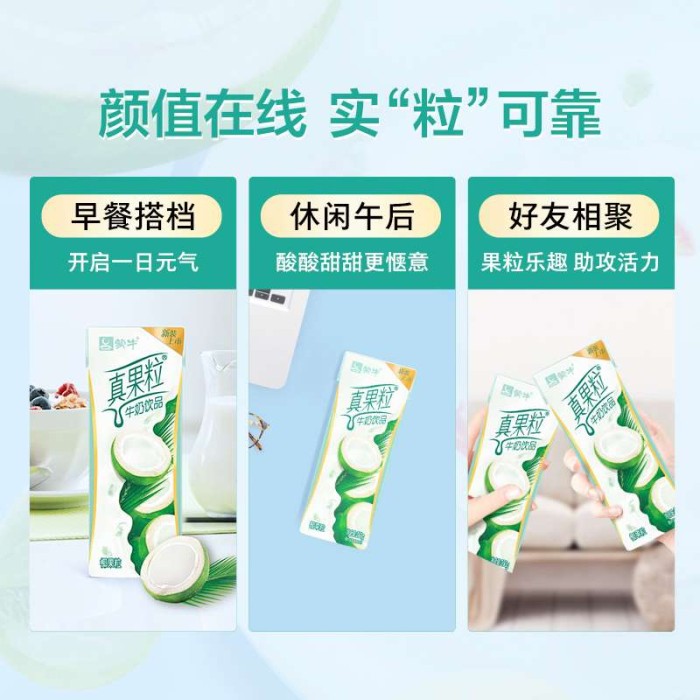 蒙牛真果粒椰果粒味