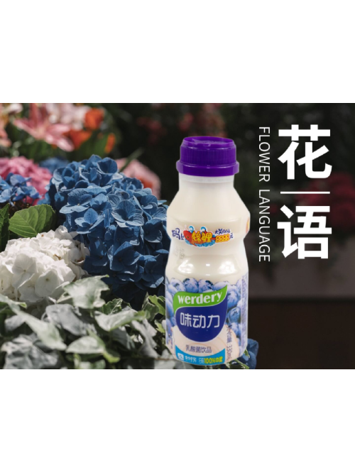 均瑶味动力乳酸菌蓝莓味