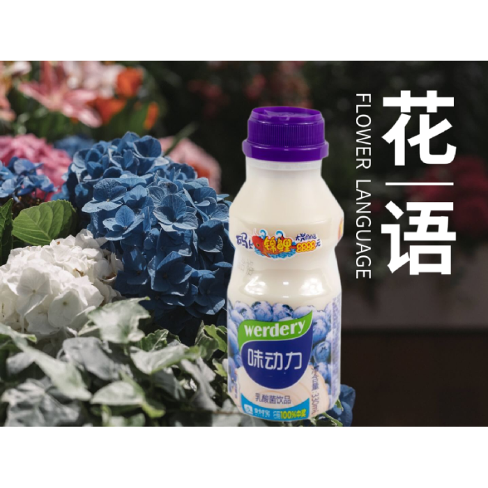均瑶味动力乳酸菌蓝莓味