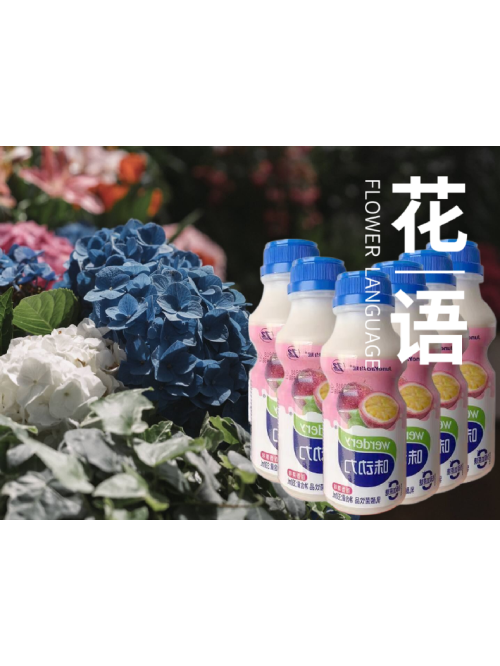 均瑶味动力乳酸菌百香果味