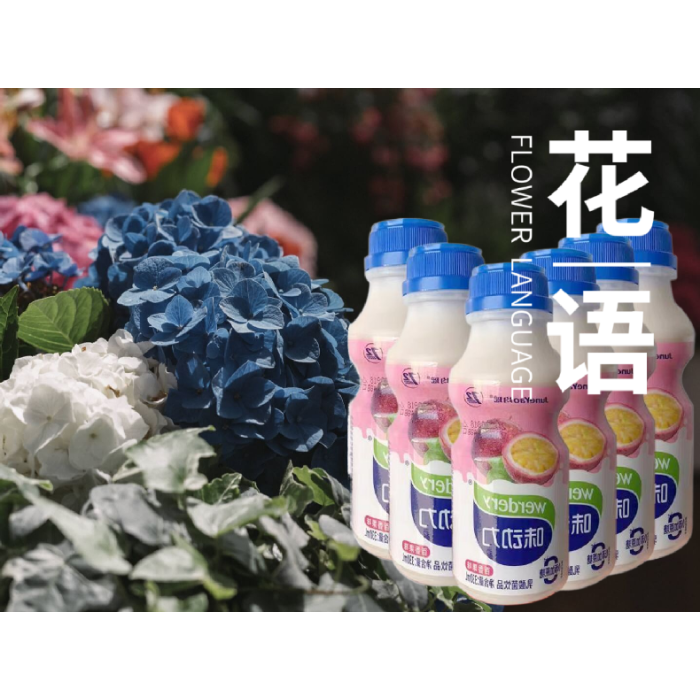 均瑶味动力乳酸菌百香果味